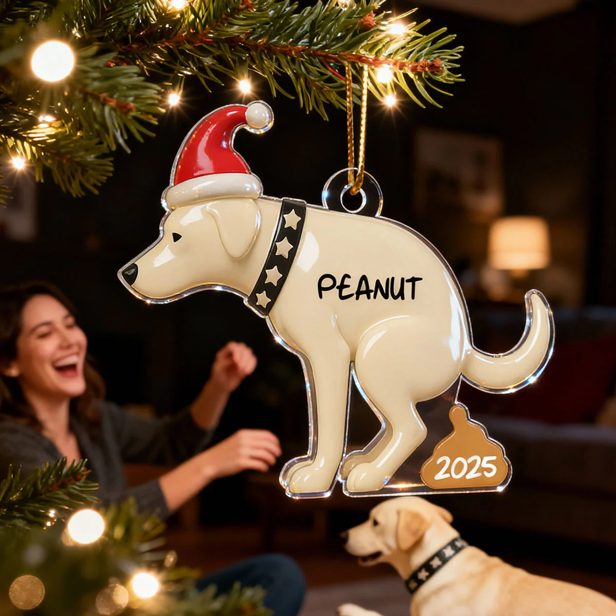 3D Effect Labrador Dog Pooping - Personalized Acrylic Ornament - Funny Christmas Gag Gift, White Elephant Gift - Image 11