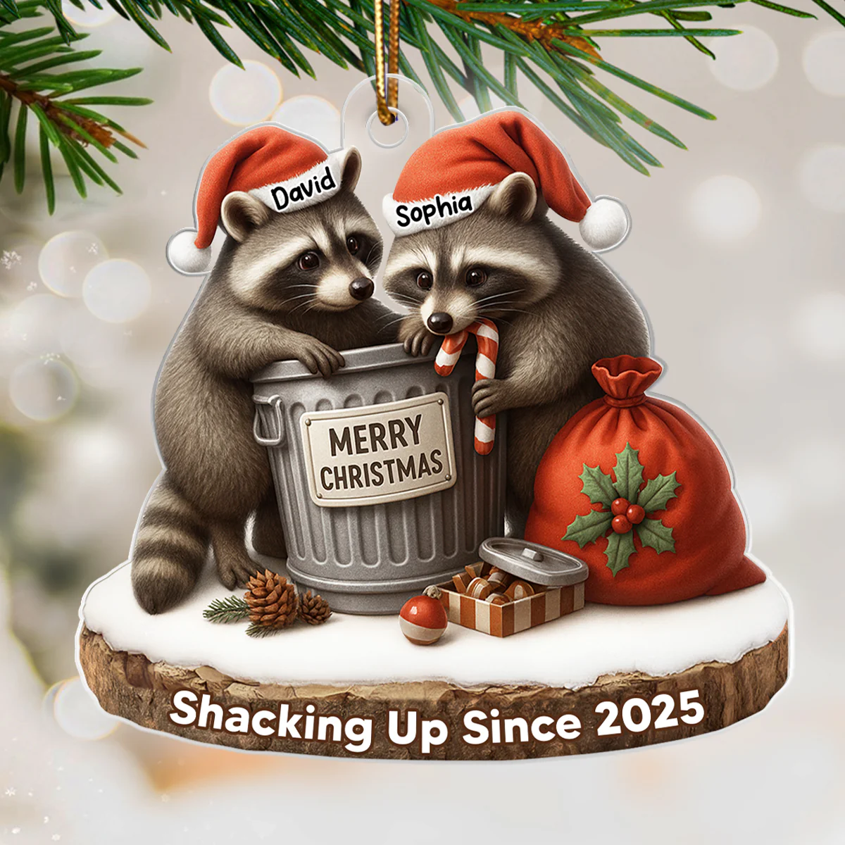 Another Christmas Living in Sin Funny Raccon Couple - Personalized Acrylic Ornament - Christmas Gift for her, Gift for him - Image 7