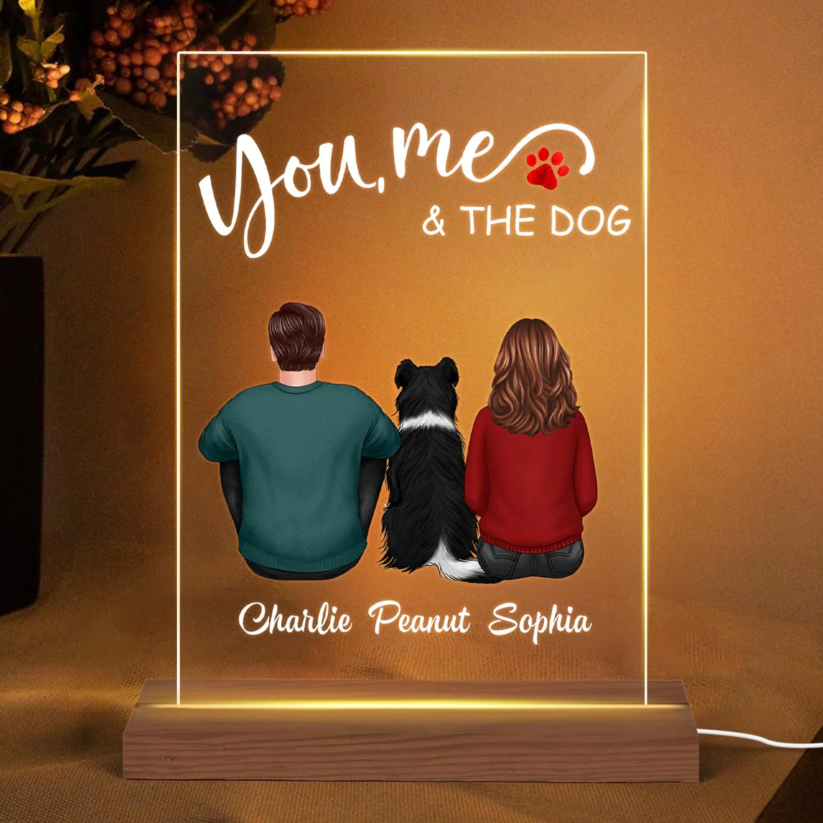 Back View Couple Sitting You Me And The Dogs Cats Personalized Rectangle Acrylic Plaque LED Lamp Night Light