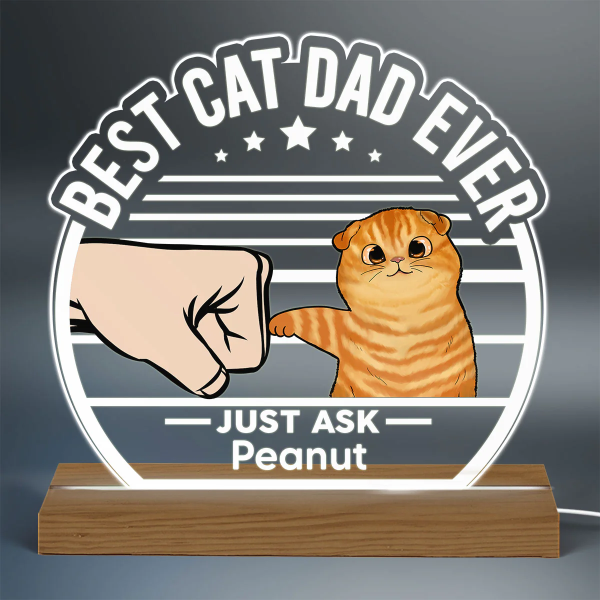 Best Cat Dad Ever Fluffy Cat Personalized Custom Shape LED Night Light - Image 3