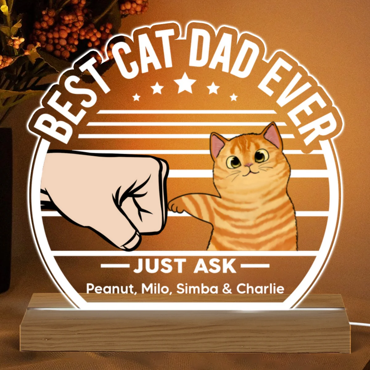 Best Cat Dad Ever Fluffy Cat Personalized Custom Shape LED Night Light - Image 5