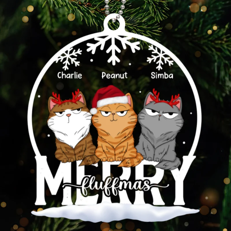 Cat Funny Expressions Christmas Snow Globe Personalized Acrylic Ornament - Image 5