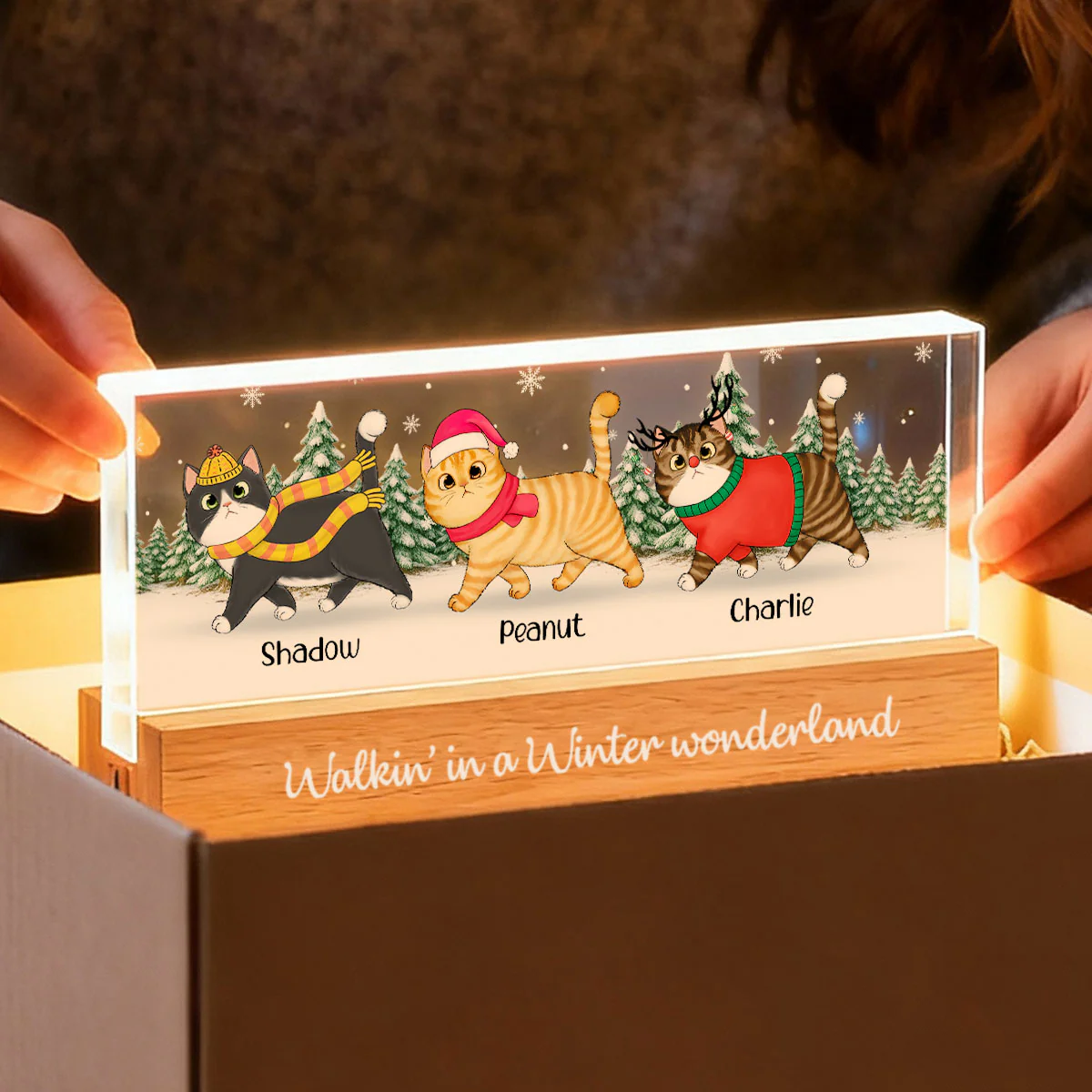 Christmas Cats Walking In A Winter Wonderland - Personalized Acrylic Block Plaque LED Night Light - Image 5