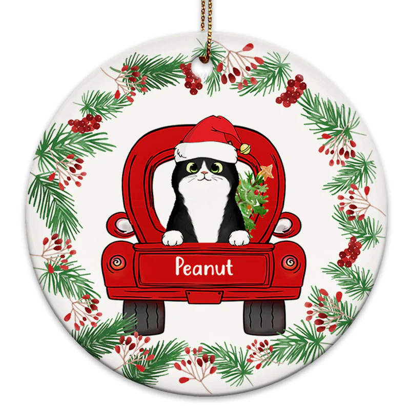 Christmas Holly Branch Fluffy Cats On Truck Personalized Circle Ornament