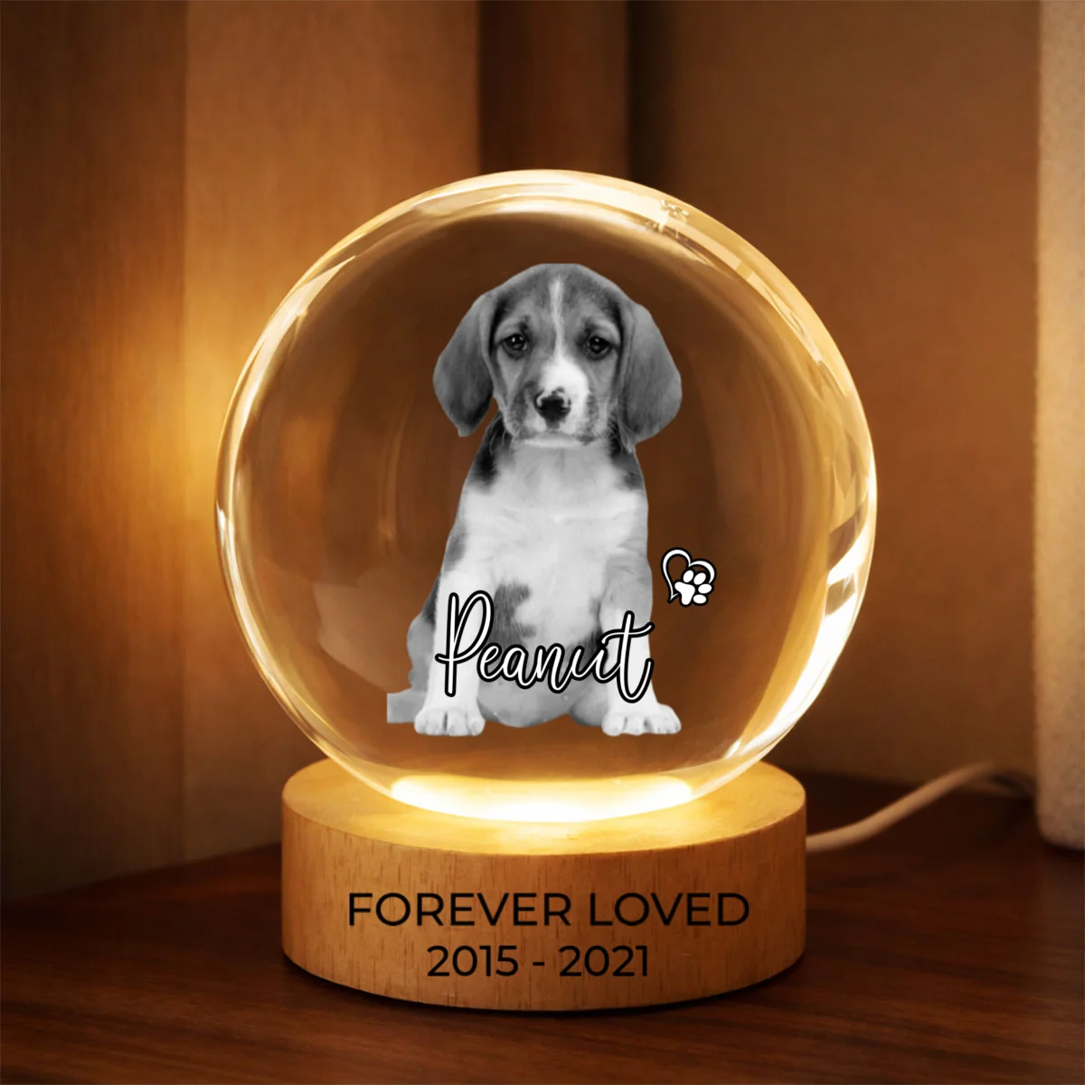 Custom Pet Photo Portrait Memorial - Personalized Crystal Ball LED Night Light - Heartfelt Gift for Pet Lovers, Pet Remembrance - Image 9