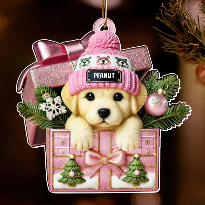 Cute Labrador Dog Inside Gift Box Personalized 2D Flat Acrylic Ornament, Christmas Gift for Dog Lovers - Image 11