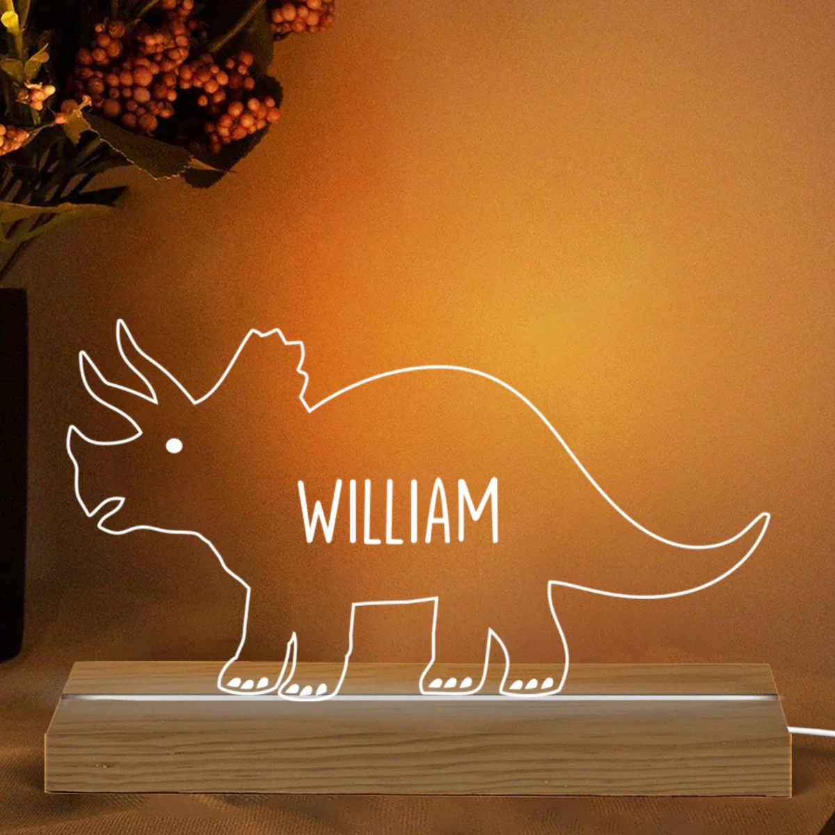 Dinosaur Kids Names Gift For Kids Grandkids Personalized Custom Shape Acrylic Plaque LED Night Light - Image 5