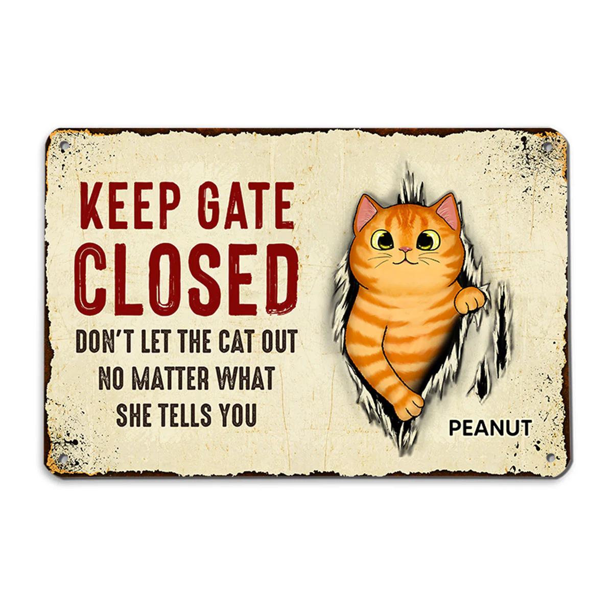 Don‘t Let The Cats Out Scratching Tearing Fluffy Cat Personalized Metal Sign