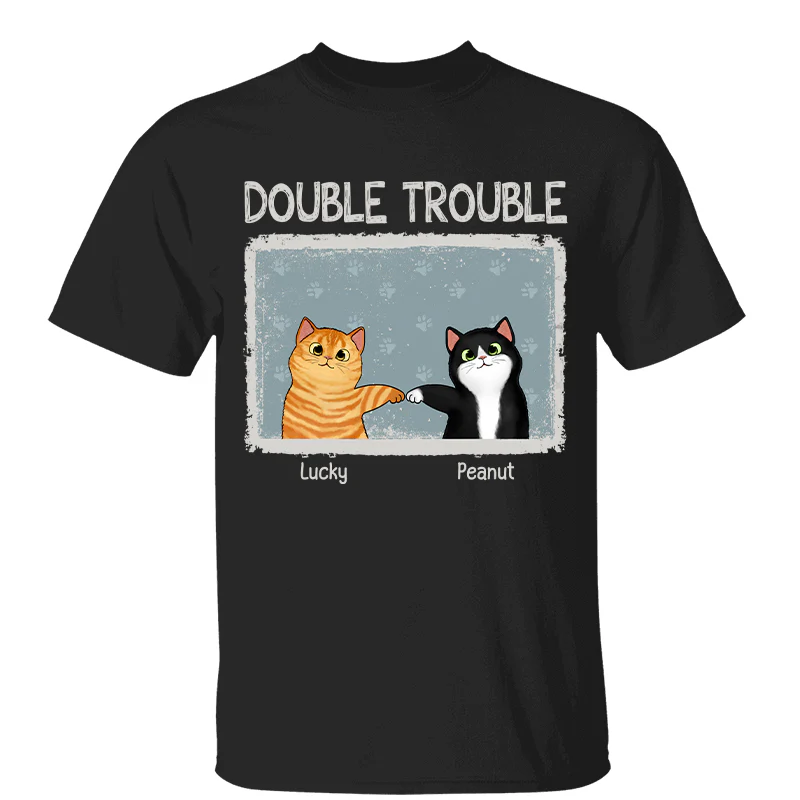Double Trouble Drizzle Color Frame Fluffy Cat Personalized Shirt