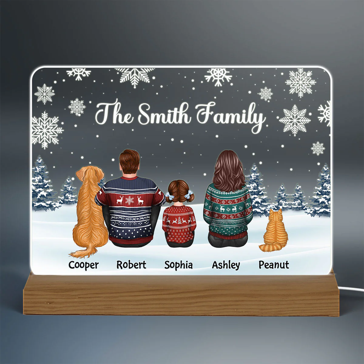 Family Dad Mom Kids Dogs Cats Snow Background Christmas Personalized Custom Shape Acrylic Plaque Warm LED Night Light - Image 3