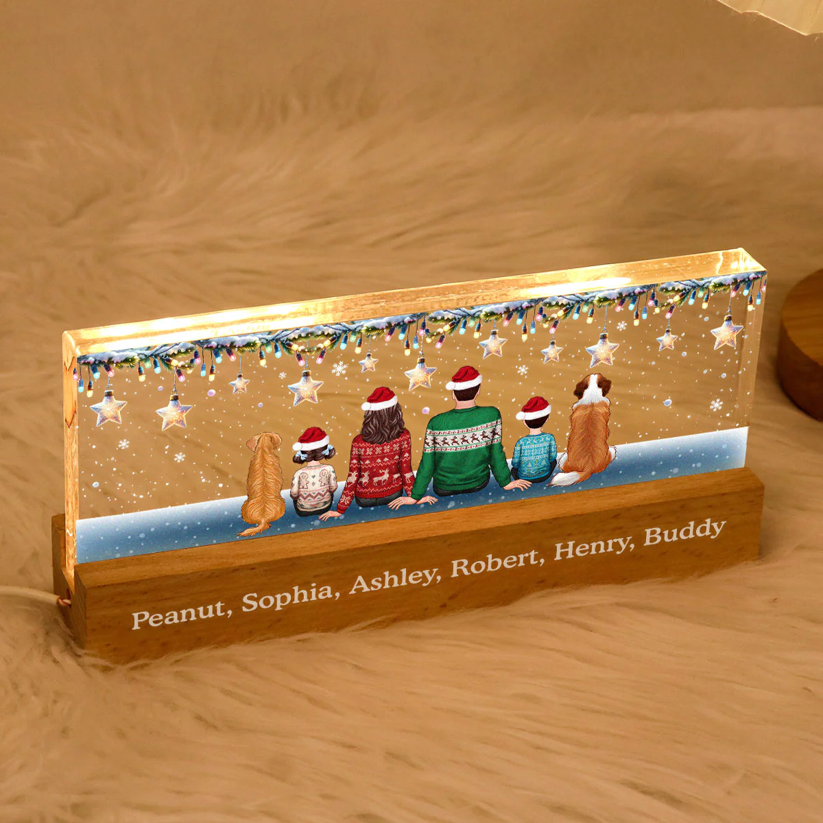 Family Dogs Cats Christmas Sitting Christmas Light Star Personalized Acrylic Block LED Night Light - Image 5