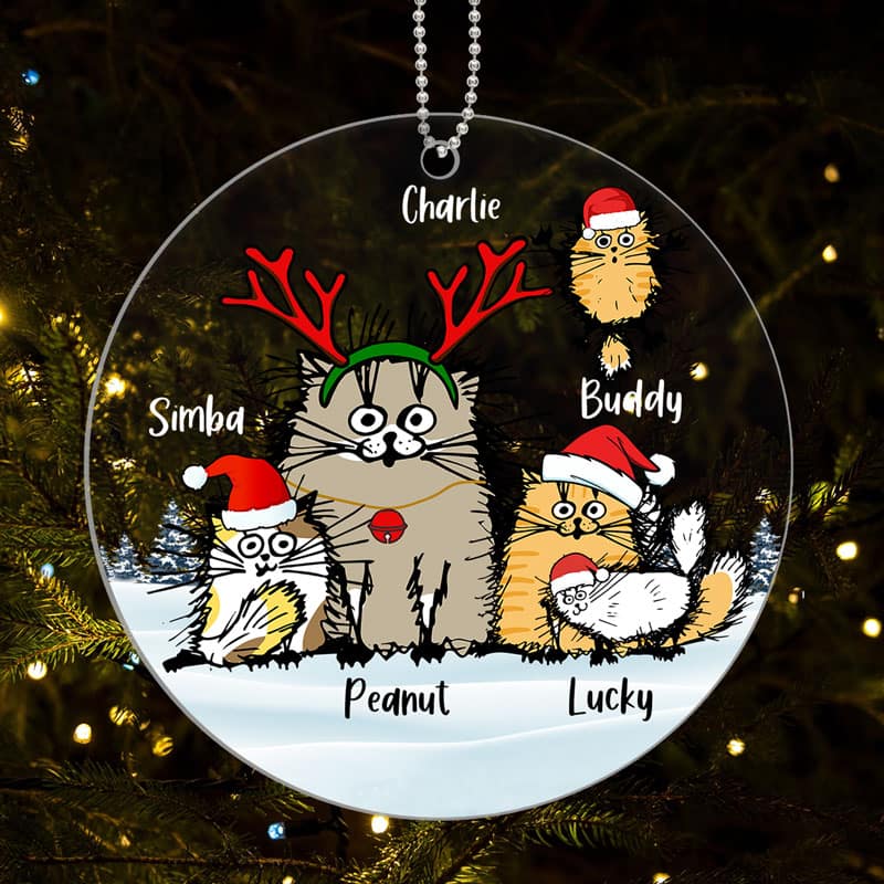 Funny Cats Personalized Christmas Acrylic Ornament - Image 3