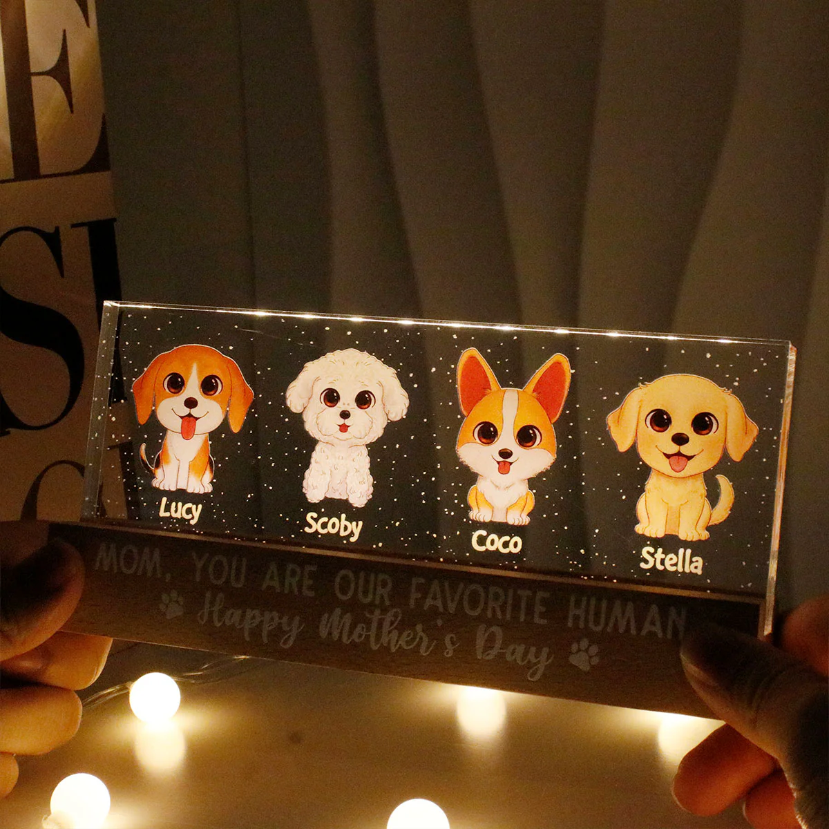 Gift For Dog Mom Personalized Acrylic Block LED Night Light - Image 5