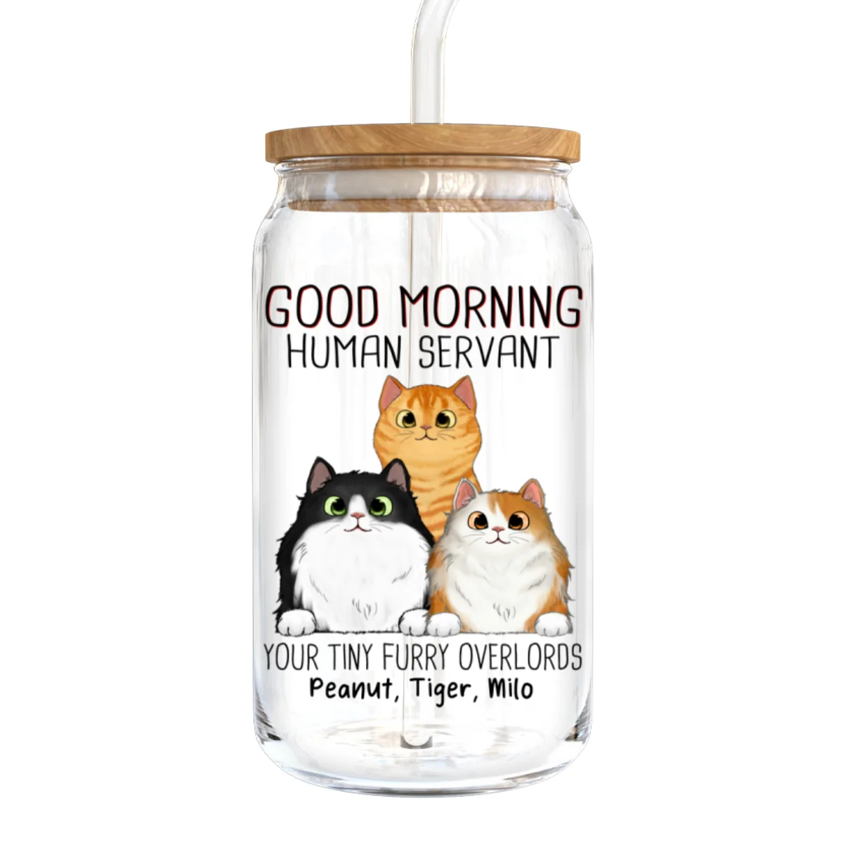 Good Morning Cat Human Servant Funny Gift For Cat Lovers Personalized Clear Glass Can - Image 8
