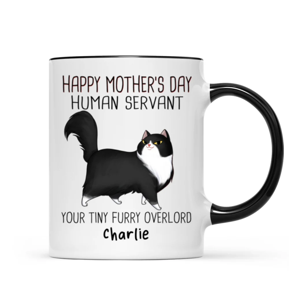 Happy Mother's Day Human Servant Cartoon Walking Cat Personalized Mug - Image 5