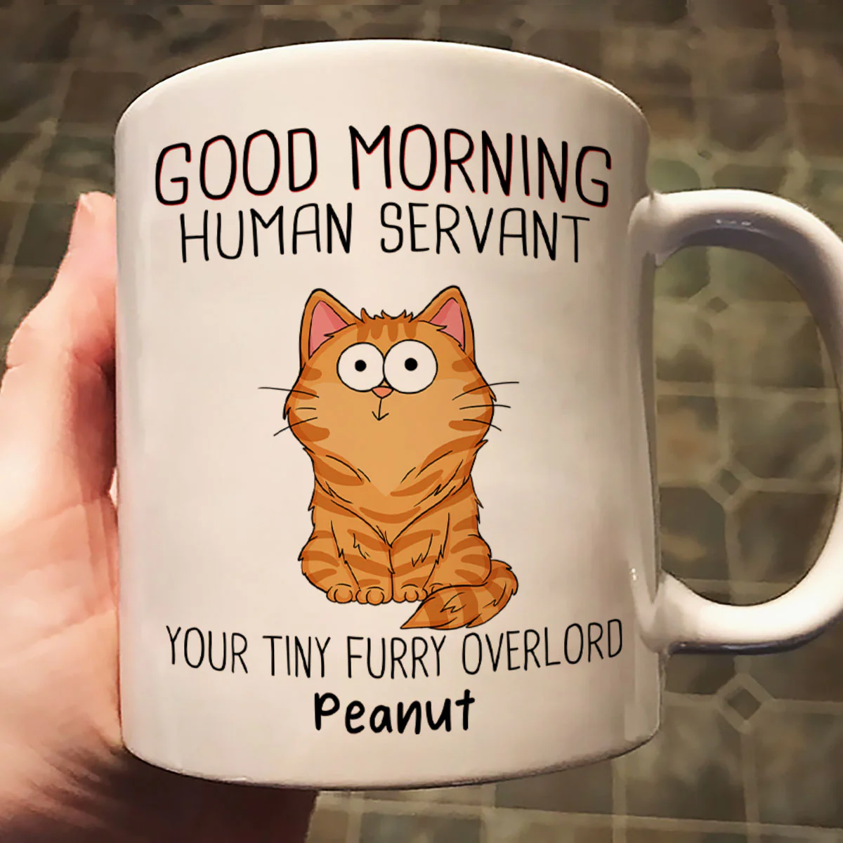 Good Morning Human Servant Funny Cat Expressions Personalized Mug - Image 2