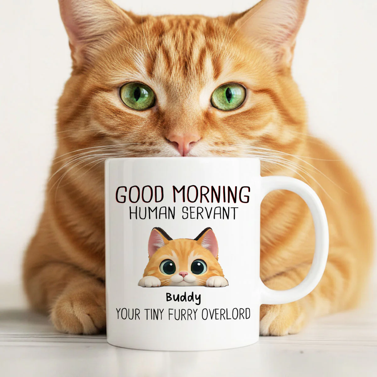 Good Morning Human Servant - Personalized Mug - Funny Gift for Cat Moms, Cat Dads - Image 6