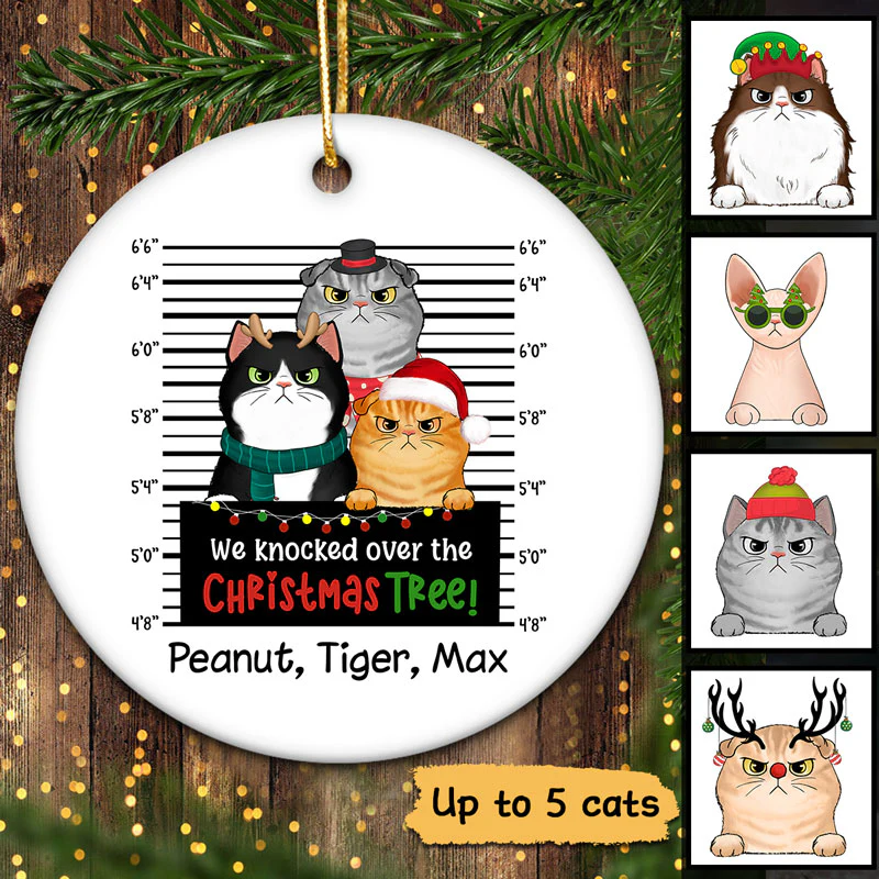 Guilty Cats Knocked Over Christmas Tree Personalized Circle Ornament - Image 2