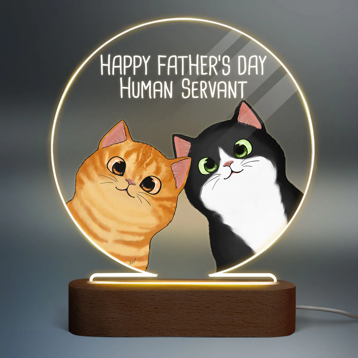 Happy Father‘s Day Human Servant Peeking Fluffy Cats Personalized Circle Acrylic Plaque LED Night Light - Image 2