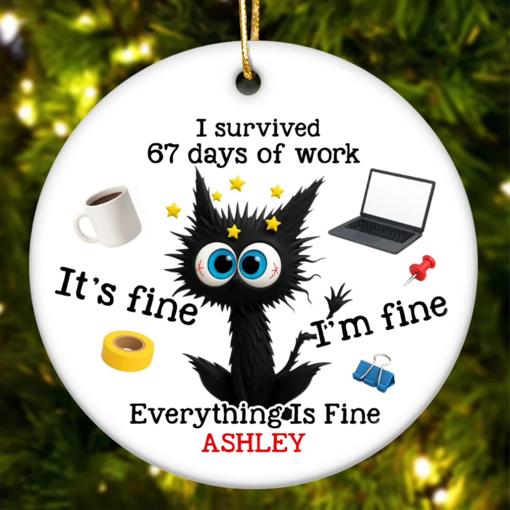 I Survived 67 Days Of Work Funny Cat - Personalized Ceramic Ornament - Custom Employee Gift Exchange, White Elephant Gift - Image 8