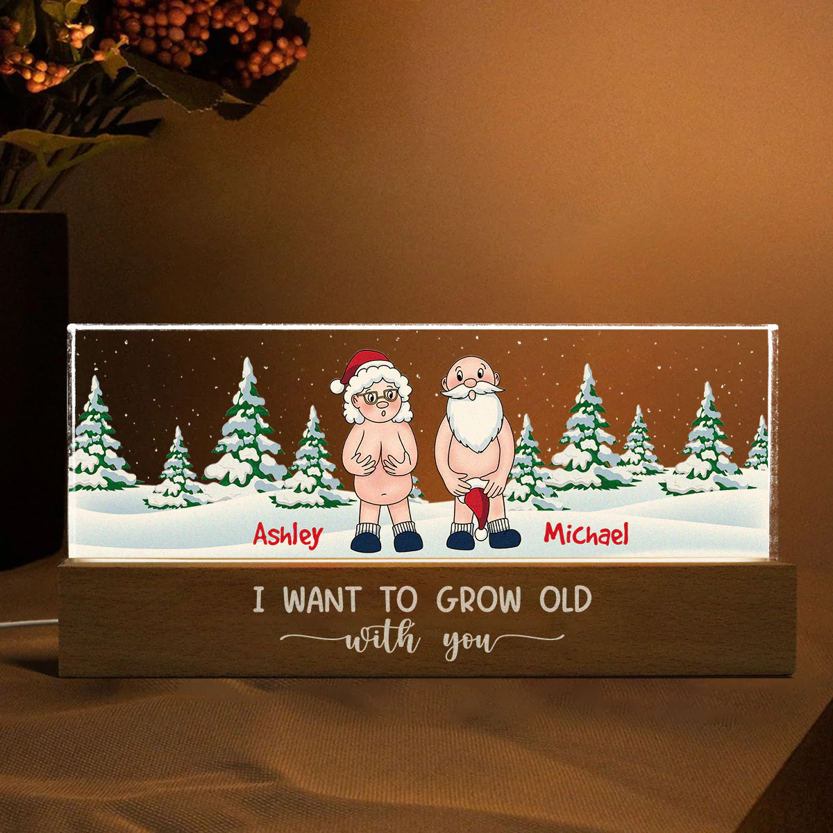 I Want To Grow Old With You Funny Christmas Couple Personalized Acrylic Block LED Night Light - Image 8
