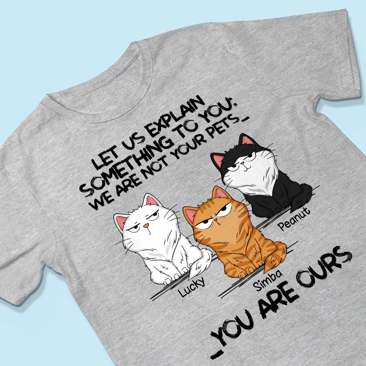 I‘m Not Your Pet Funny Expression Cat Personalized Shirt - Image 3