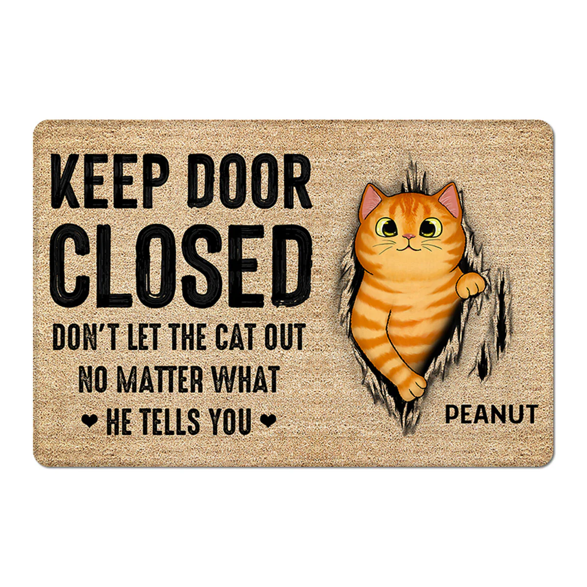 Keep Door Closed Fluffy Cat Tearing Light Color Personalized Doormat