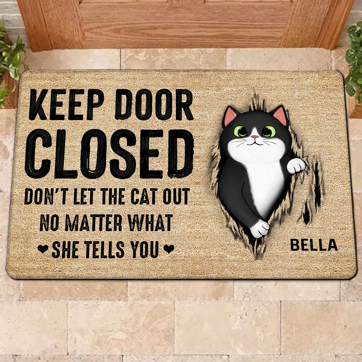 Keep Door Closed Fluffy Cat Tearing Light Color Personalized Doormat - Image 2