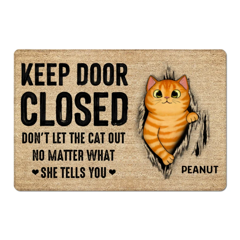 Keep Door Closed Fluffy Cat Tearing Light Color Personalized Doormat - Image 4
