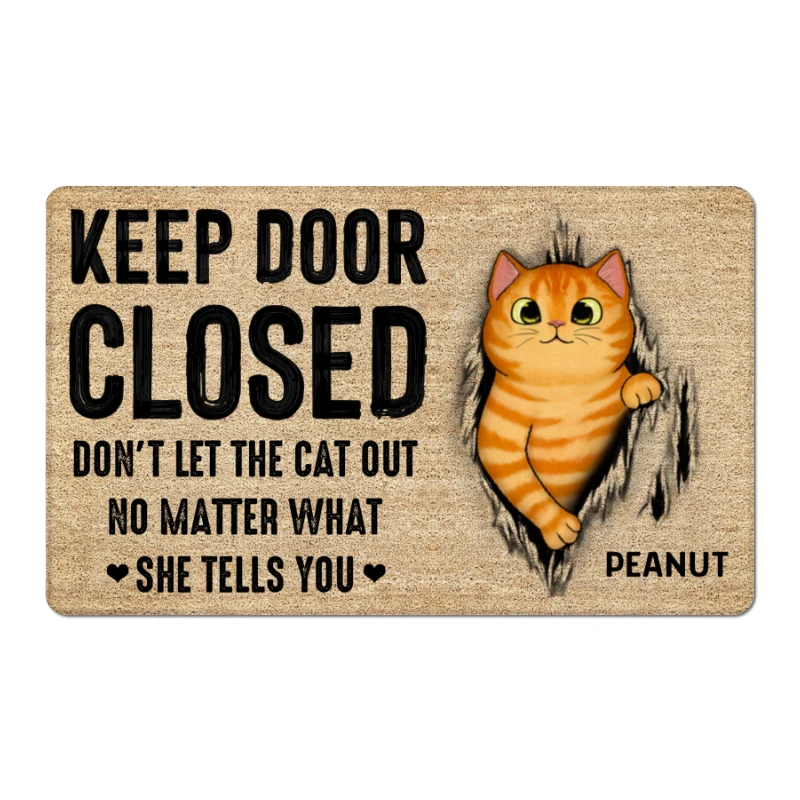 Keep Door Closed Fluffy Cat Tearing Light Color Personalized Doormat - Image 5