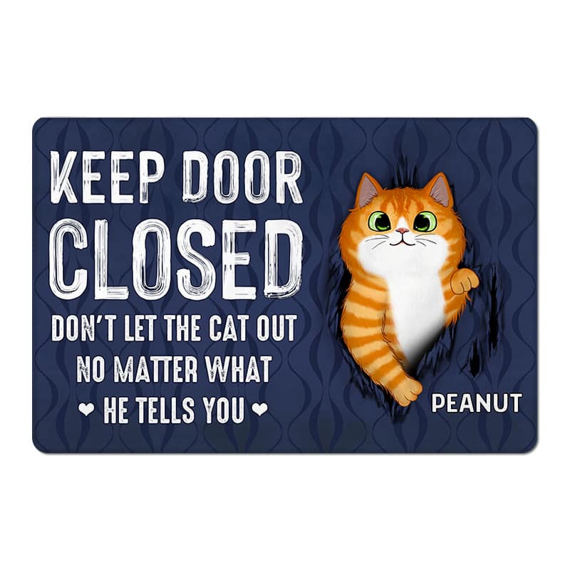 Keep Door Closed Fluffy Cat Tearing Personalized Doormat - Gift For Cat Lovers - Image 2