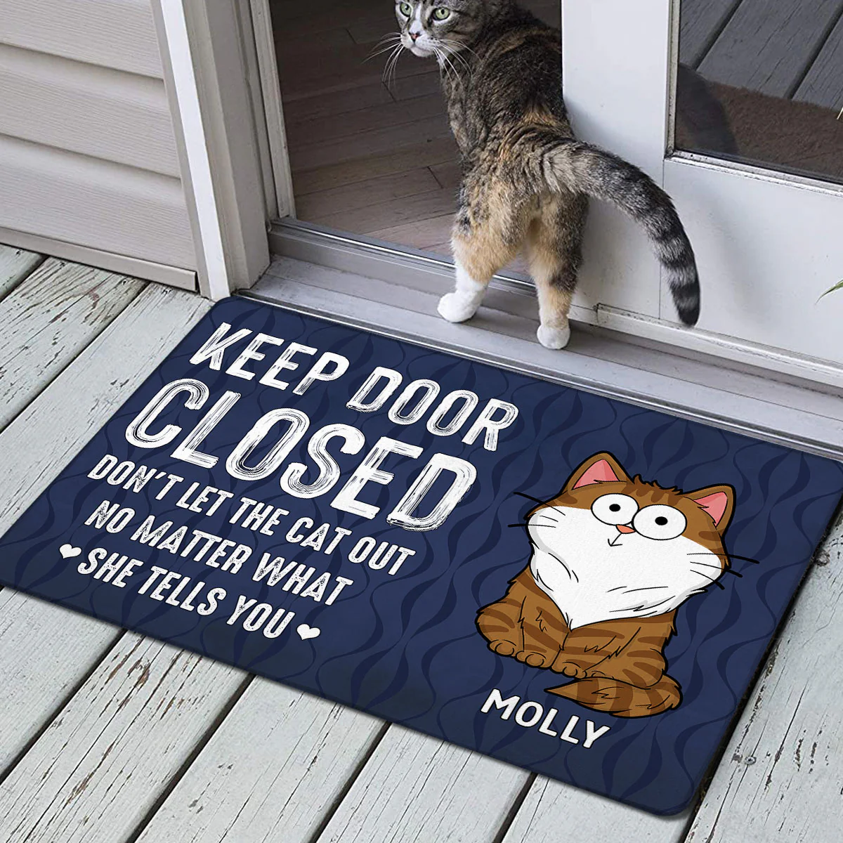 Keep Door Closed Funny Cat Expression Personalized Doormat - Image 2