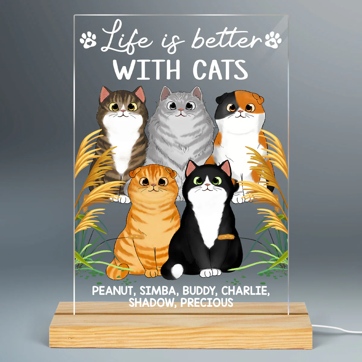 Life Is Better With Cats Cat Mom Personalized LED Night Light, Acrylic LED Lamp - Image 2