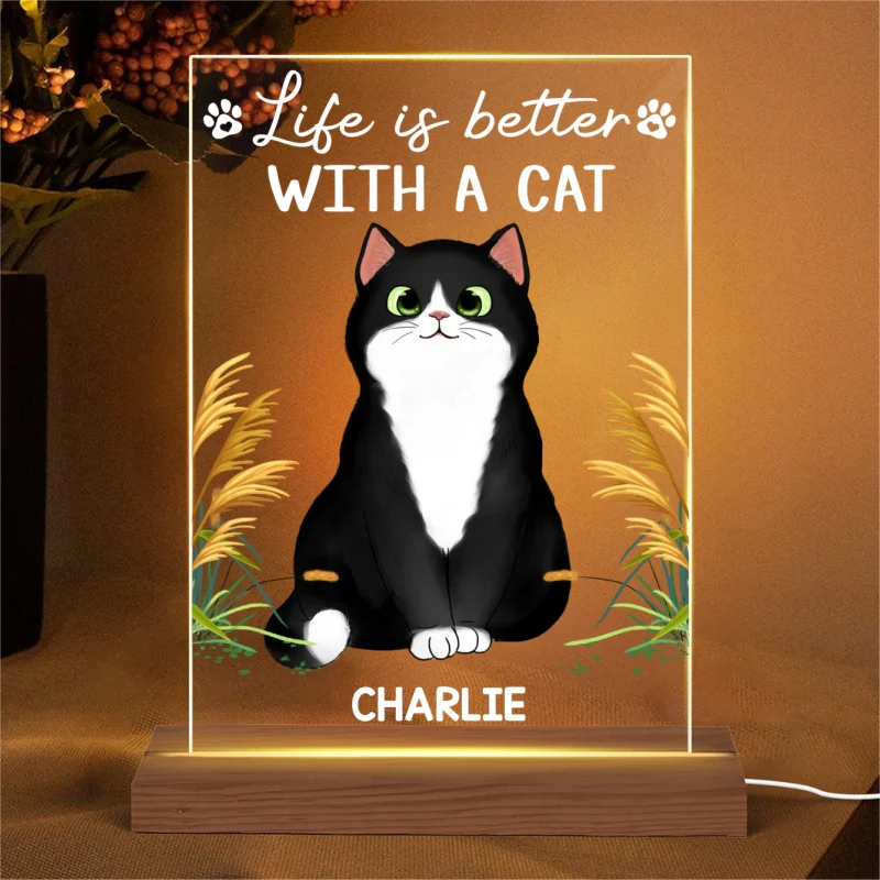 Life Is Better With Cats Cat Mom Personalized LED Night Light, Acrylic LED Lamp - Image 5