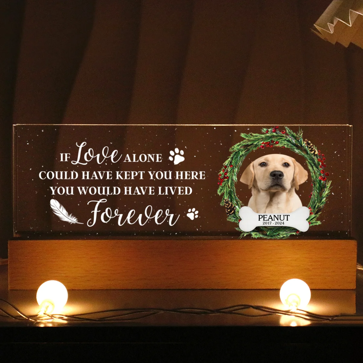 Picture Frame Memorial Personalized Acrylic LED Night Light, Heartfelt Decoration for Loss of Loved One, Gift For Dog Mom, Cat Mom - Image 10