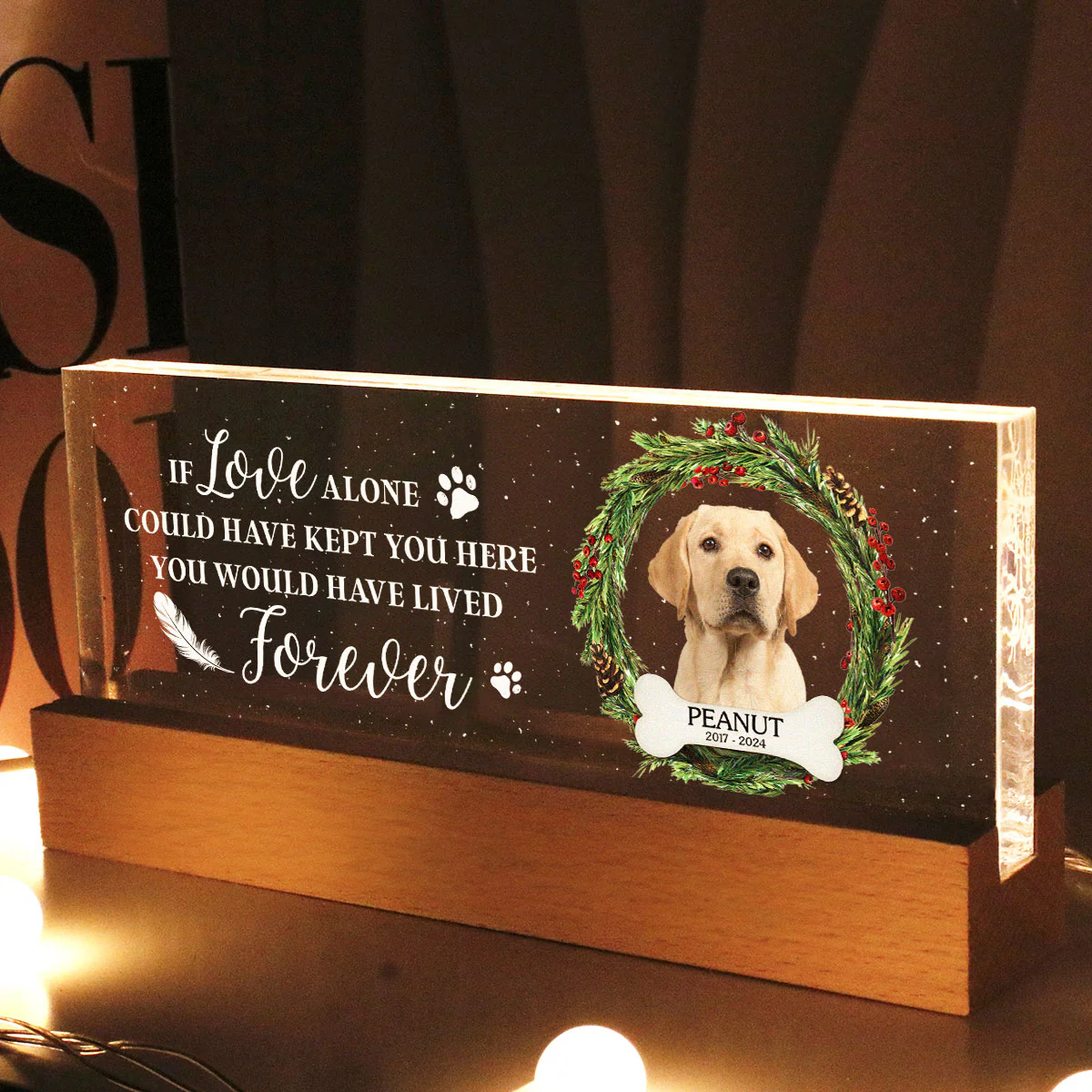 Picture Frame Memorial Personalized Acrylic LED Night Light, Heartfelt Decoration for Loss of Loved One, Gift For Dog Mom, Cat Mom - Image 2