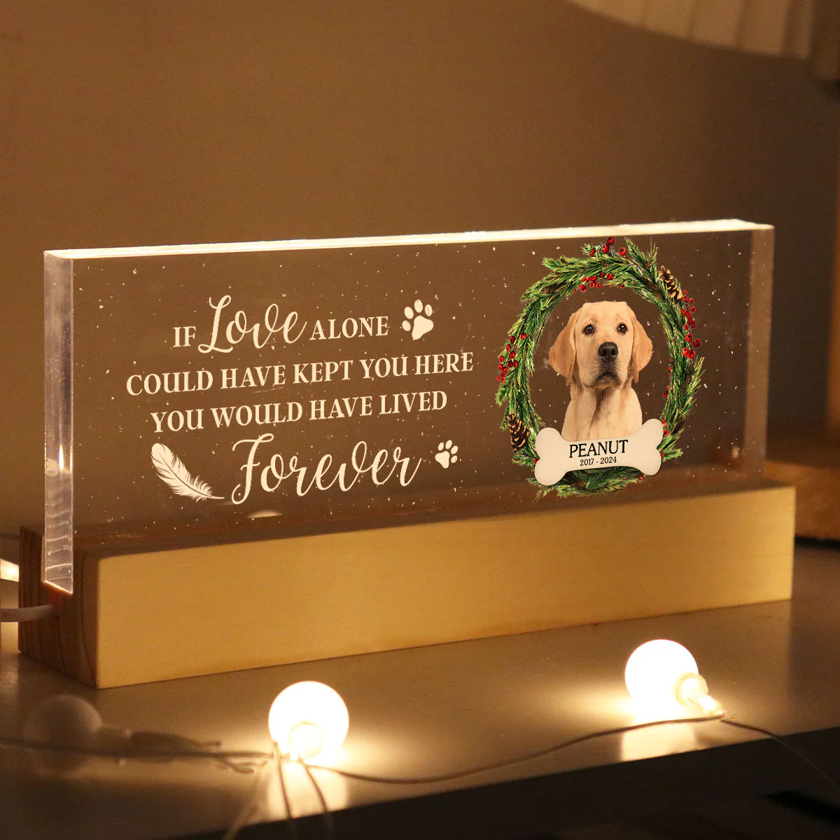 Picture Frame Memorial Personalized Acrylic LED Night Light, Heartfelt Decoration for Loss of Loved One, Gift For Dog Mom, Cat Mom - Image 3