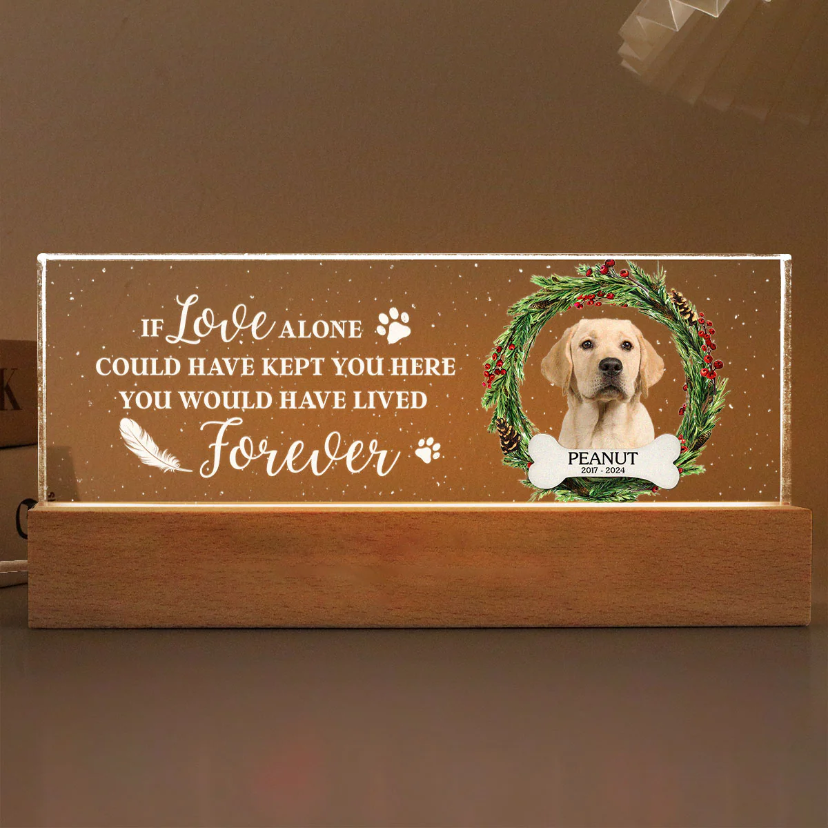 Picture Frame Memorial Personalized Acrylic LED Night Light, Heartfelt Decoration for Loss of Loved One, Gift For Dog Mom, Cat Mom - Image 6