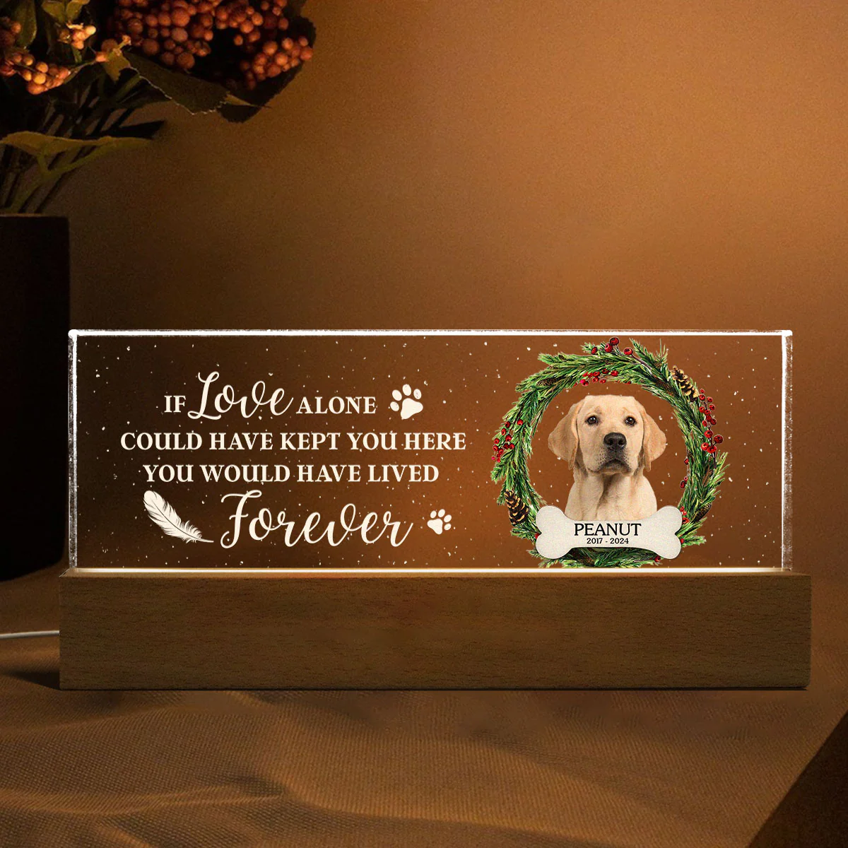 Picture Frame Memorial Personalized Acrylic LED Night Light, Heartfelt Decoration for Loss of Loved One, Gift For Dog Mom, Cat Mom - Image 7