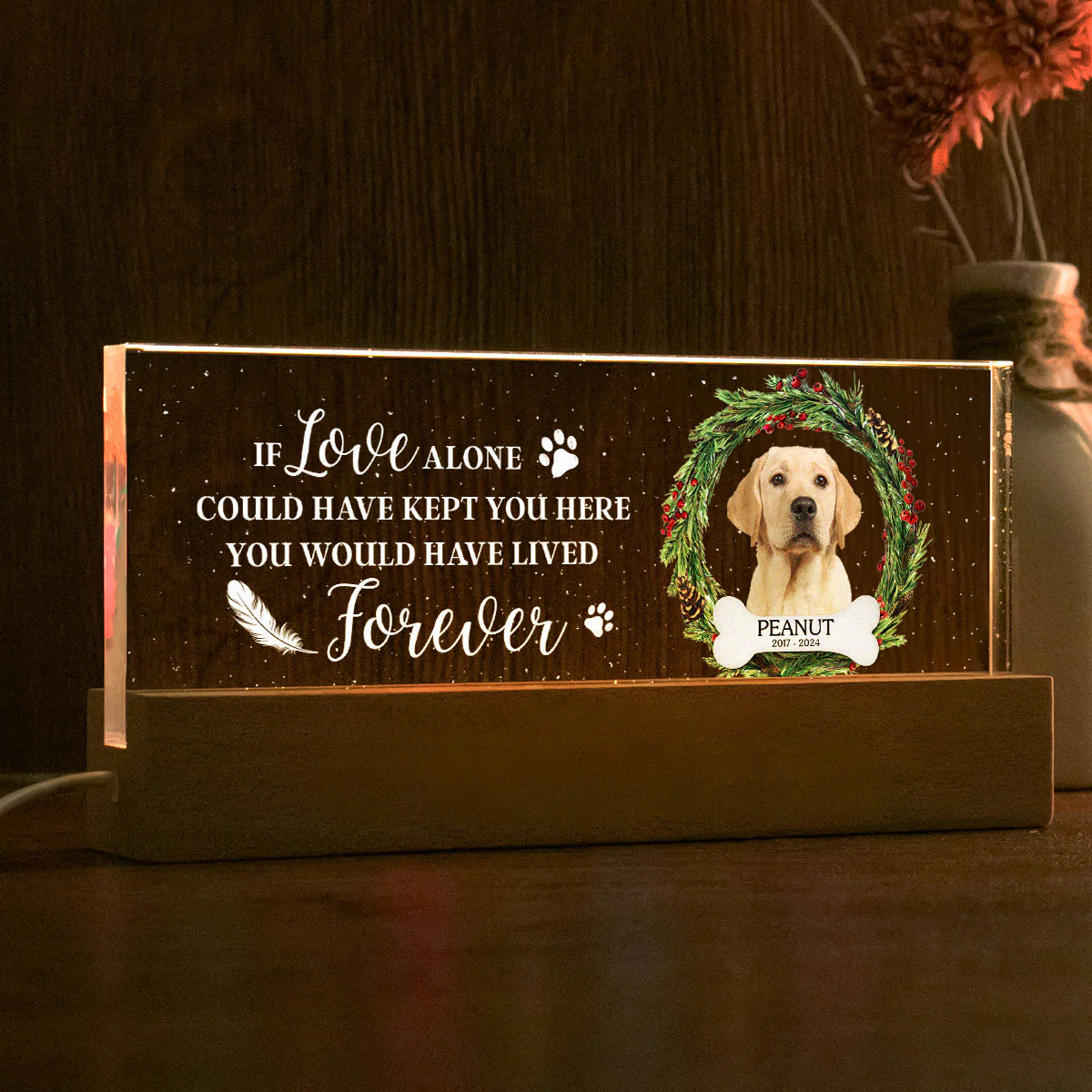 Picture Frame Memorial Personalized Acrylic LED Night Light, Heartfelt Decoration for Loss of Loved One, Gift For Dog Mom, Cat Mom - Image 8