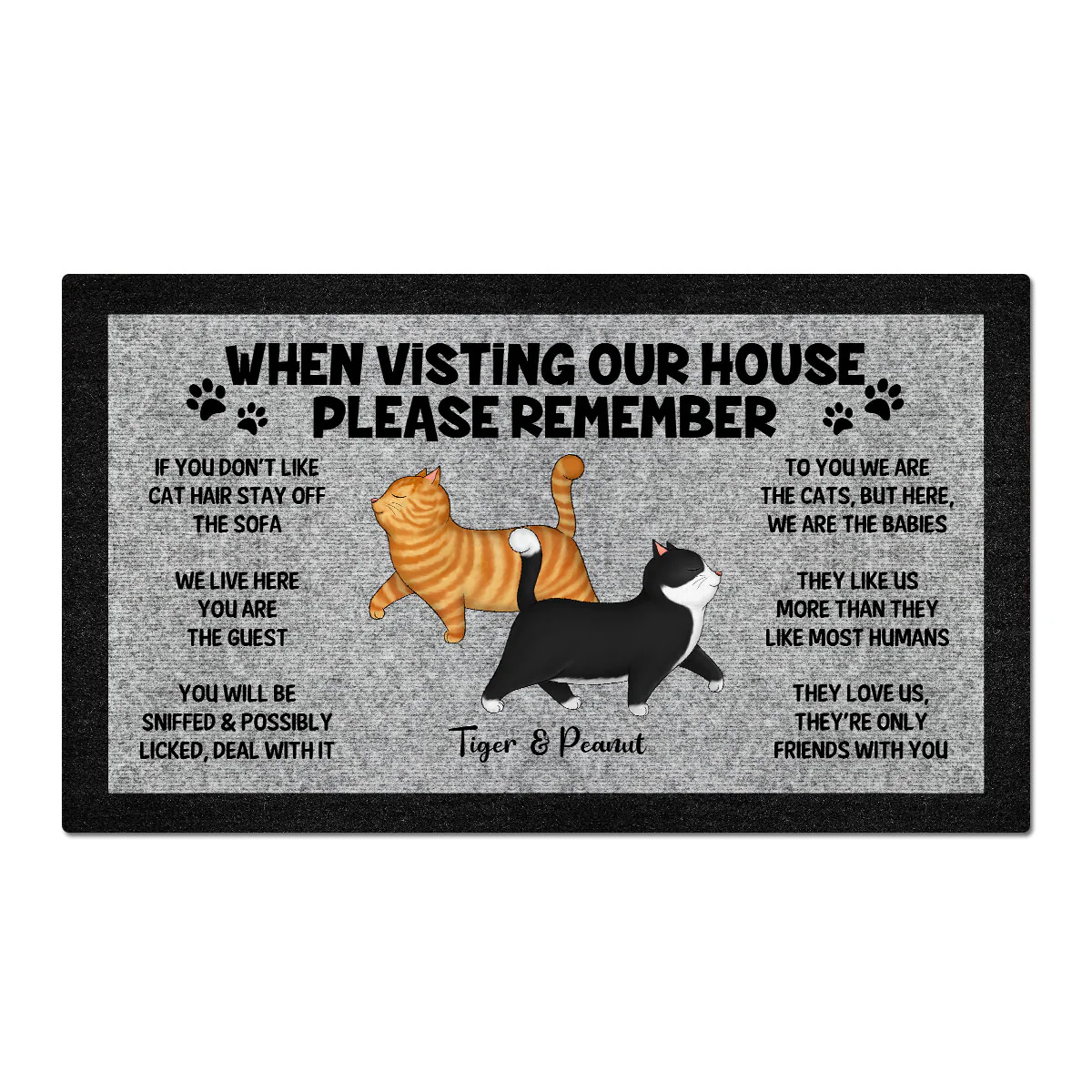 Please Remember When Visiting Cat House, Funny Cat Lover Rug Doormat - Image 2