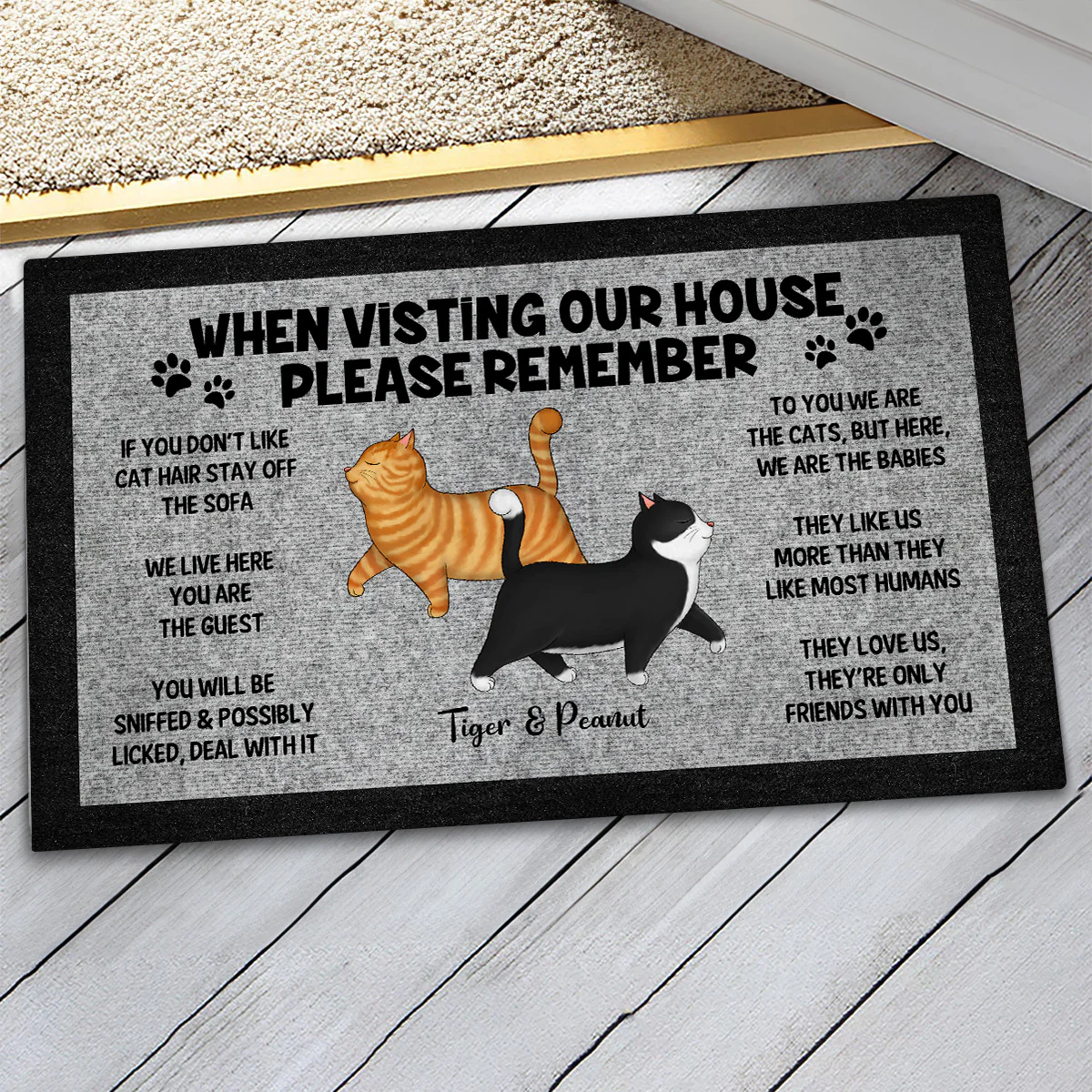 Please Remember When Visiting Cat House, Funny Cat Lover Rug Doormat - Image 3