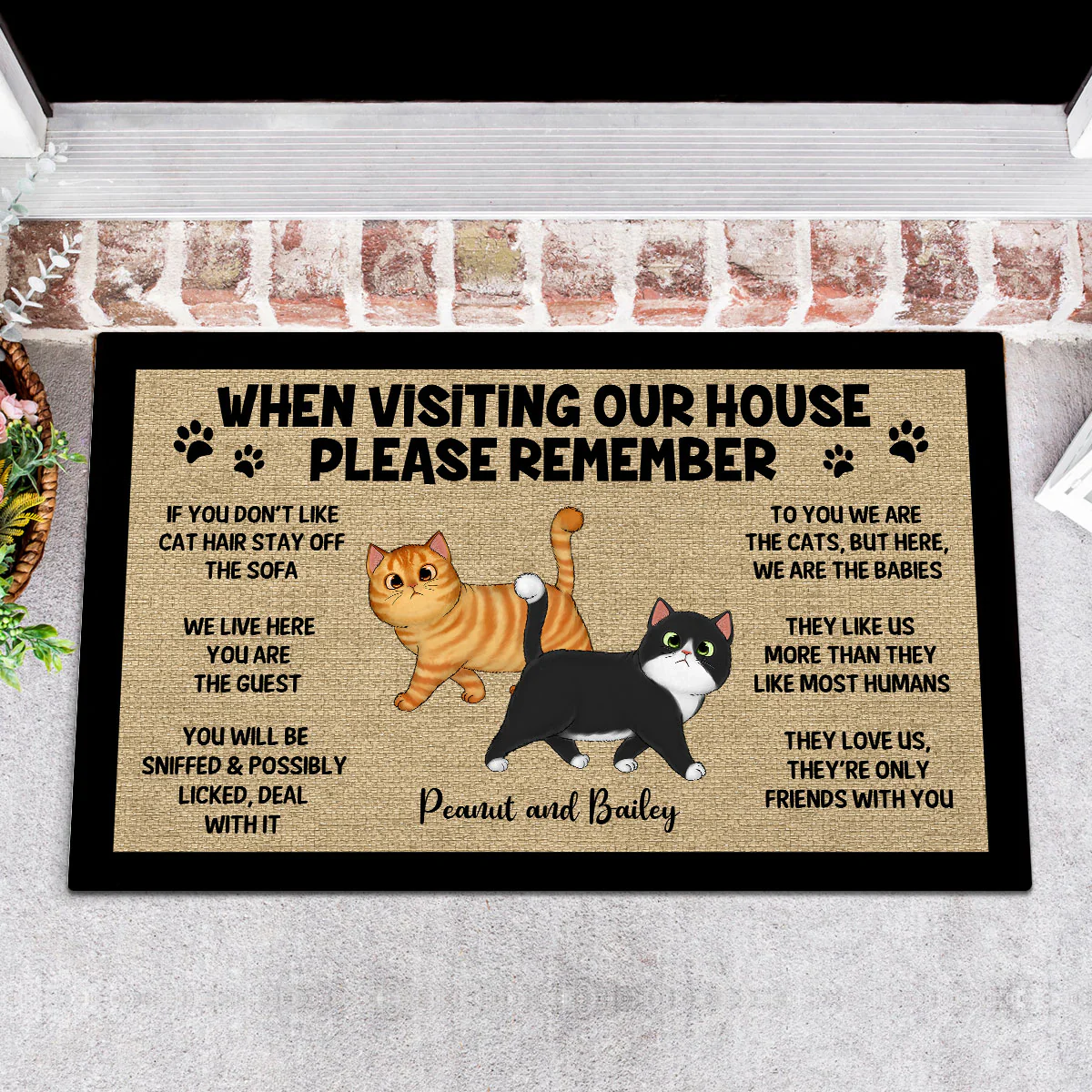 Please Remember When Visiting Cats House Home Decor Gift For Cat Lover Personalized Doormat