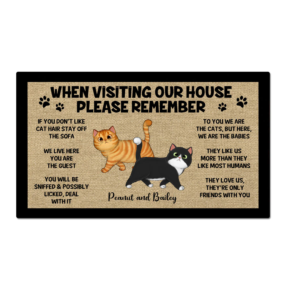 Please Remember When Visiting Cats House Home Decor Gift For Cat Lover Personalized Doormat - Image 2