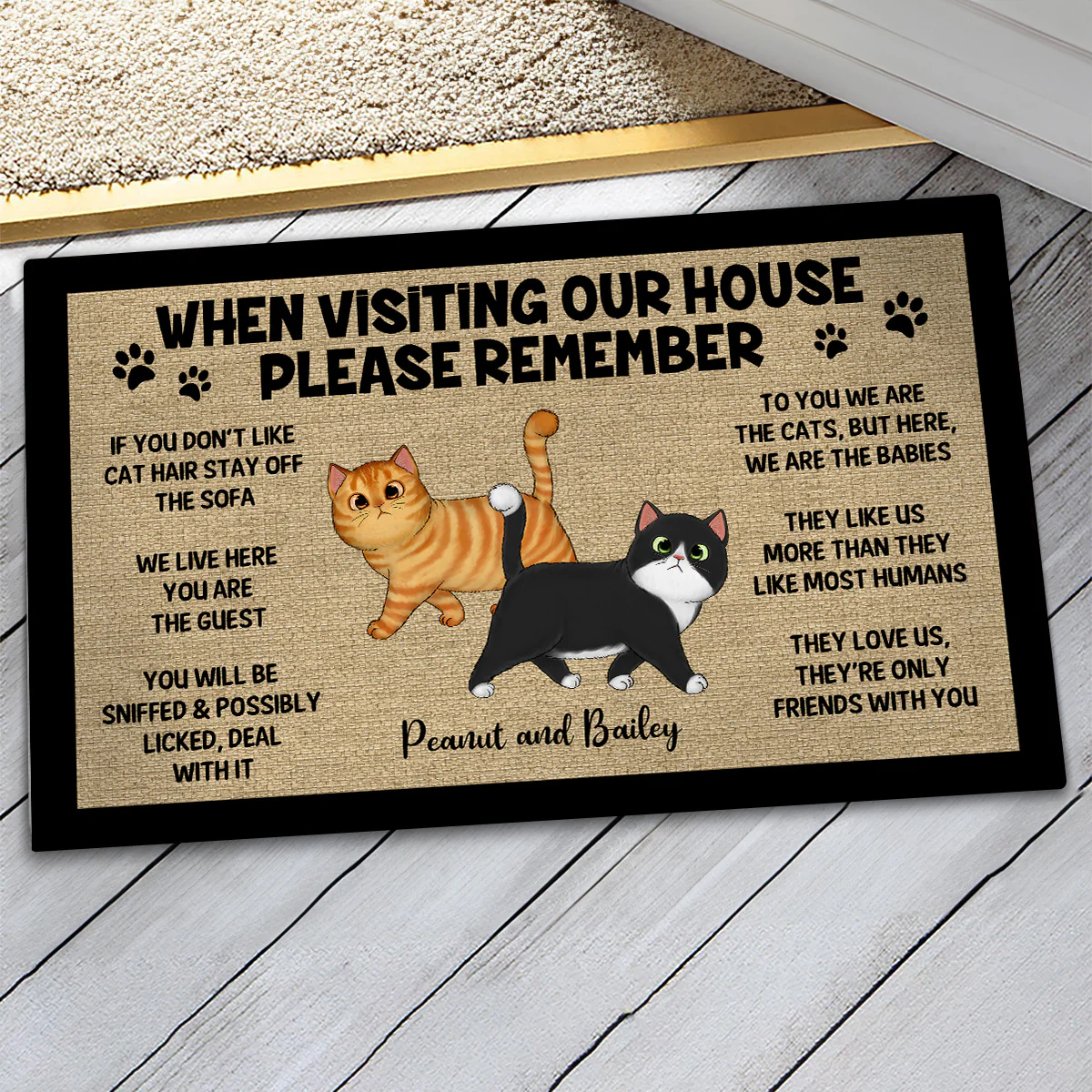 Please Remember When Visiting Cats House Home Decor Gift For Cat Lover Personalized Doormat - Image 3