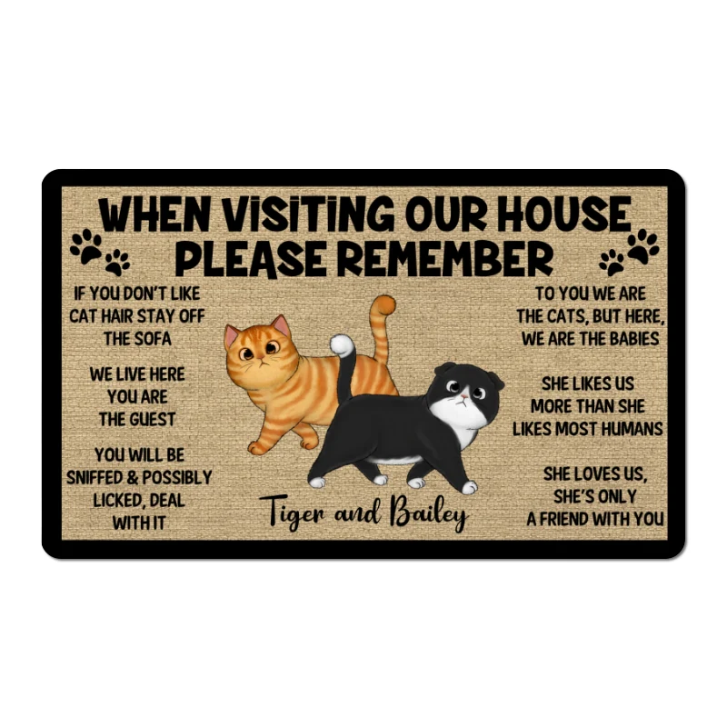 Please Remember When Visiting Cats House One Person Personalized Doormat - Image 5