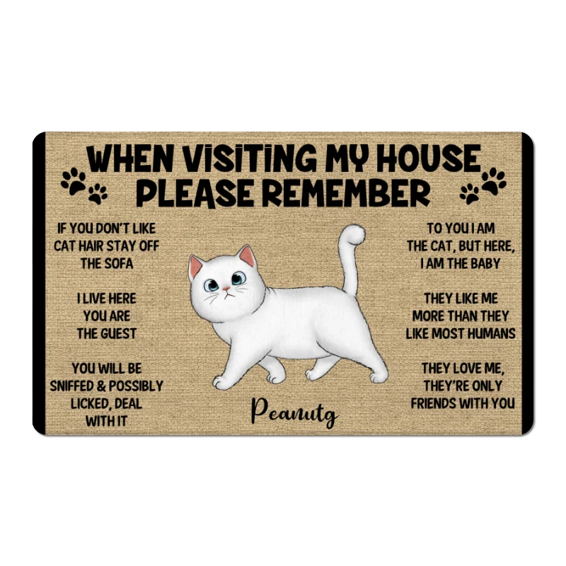 Please Remember When Visiting Cats House Personalized Doormat - Image 5