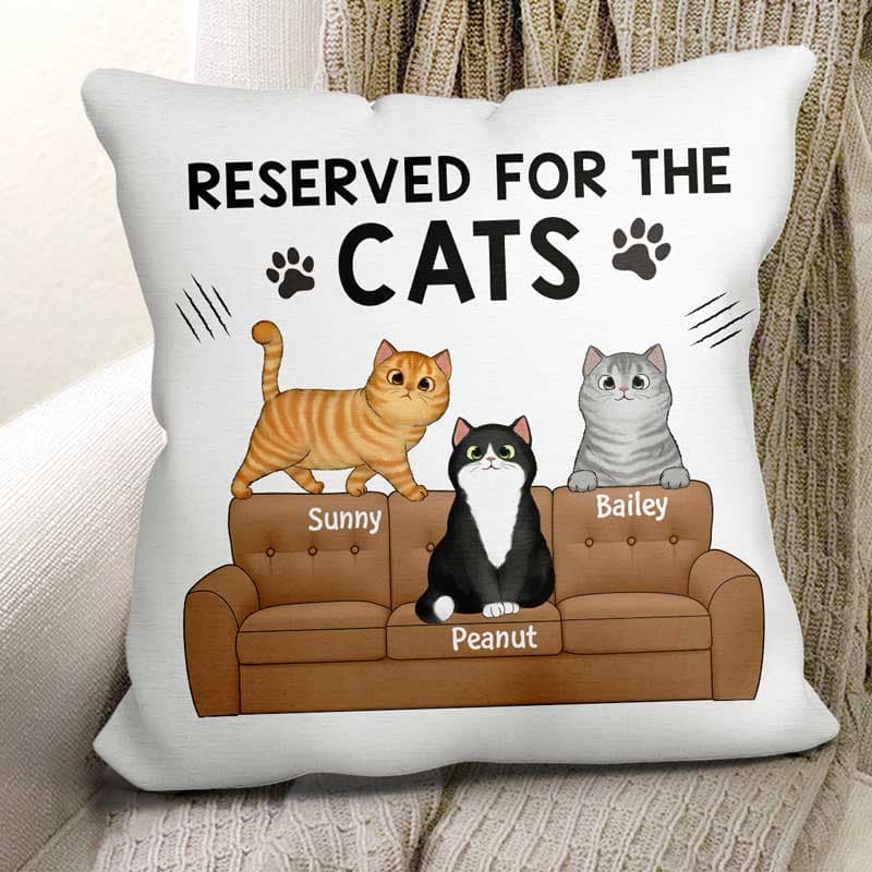 Reserved For The Fluffy Cats Personalized Pillow - Image 2