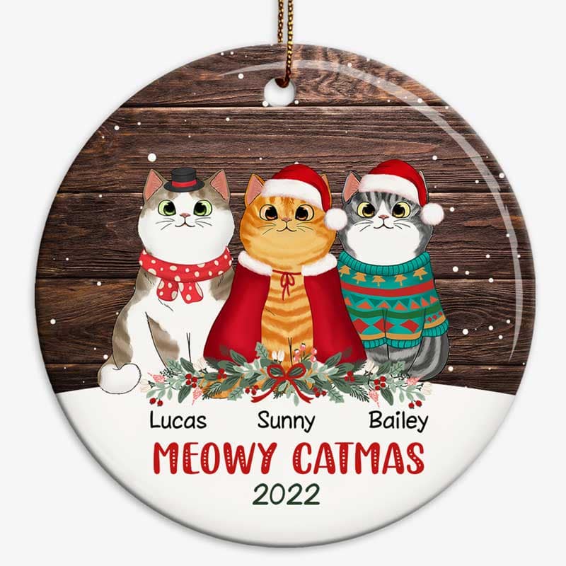 Snow Wood Fluffy Cat Christmas Personalized Circle Ornament