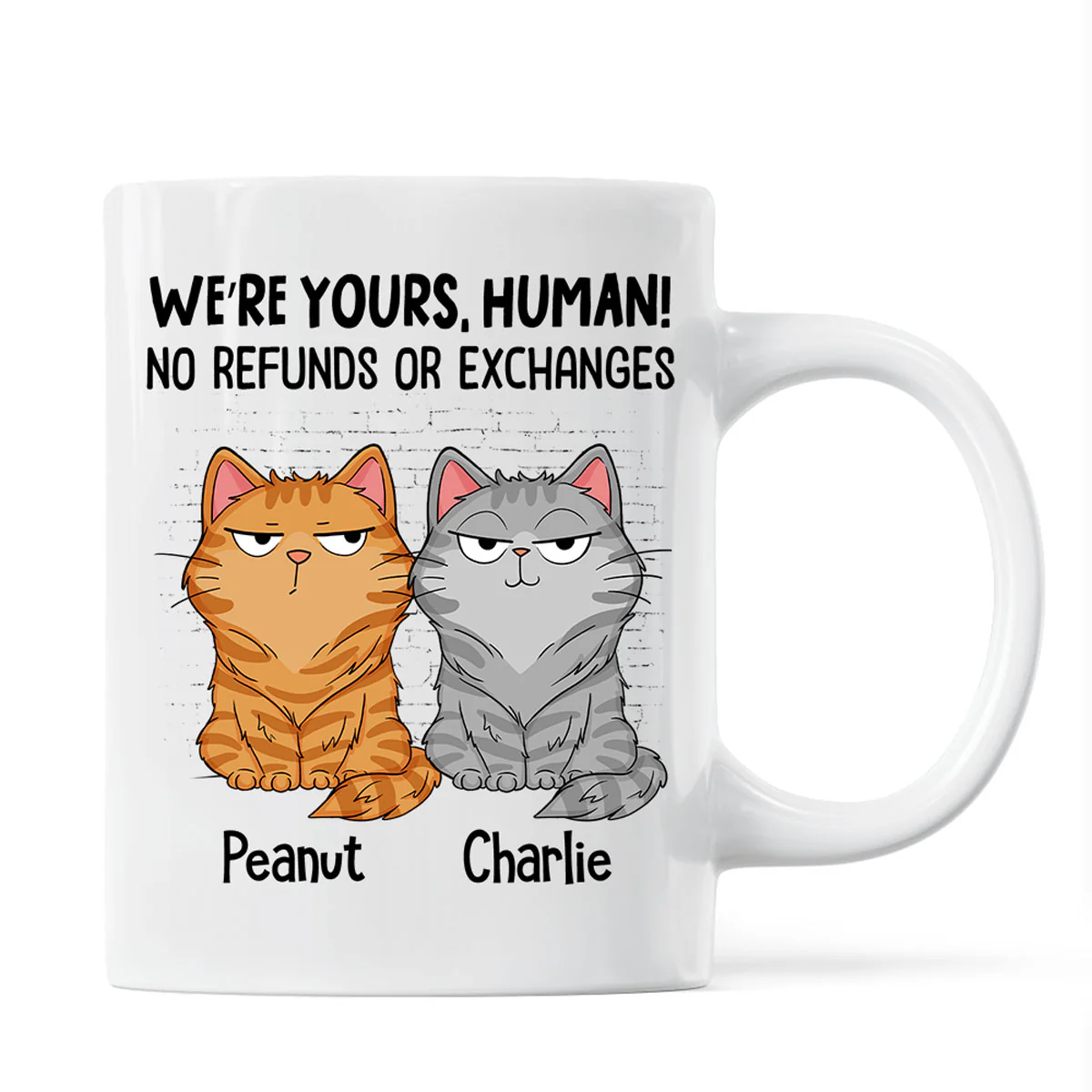 Sorry Human We‘re Yours Funny Cat Expression Personalized Mug